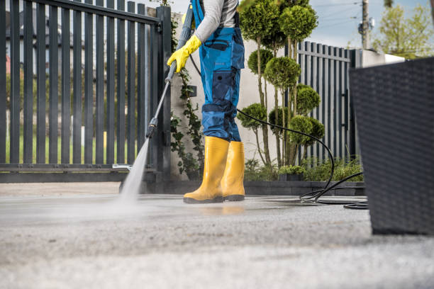 Best Local Pressure Washing Services  in Roaming Shores, OH