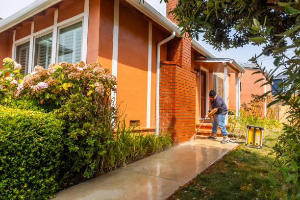 Best Residential Pressure Washing Services  in Roaming Shores, OH